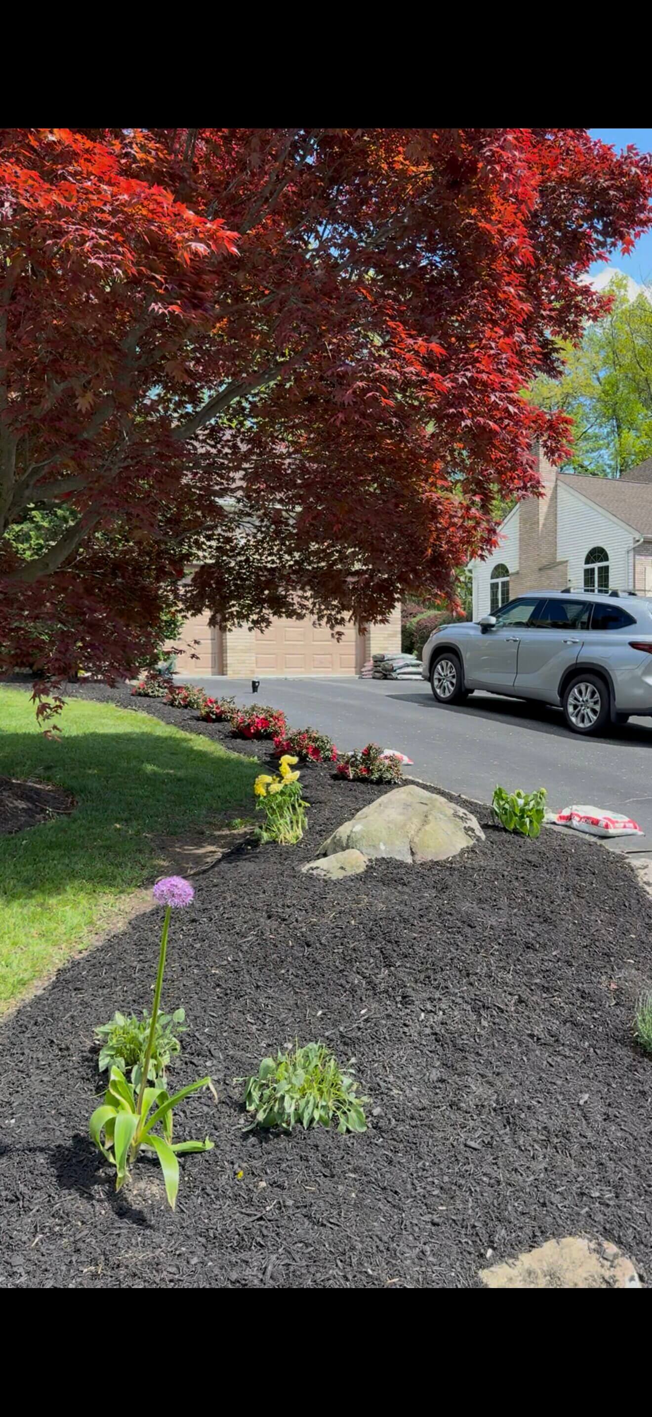 Fresh mulch installation by Home Care With A Vision