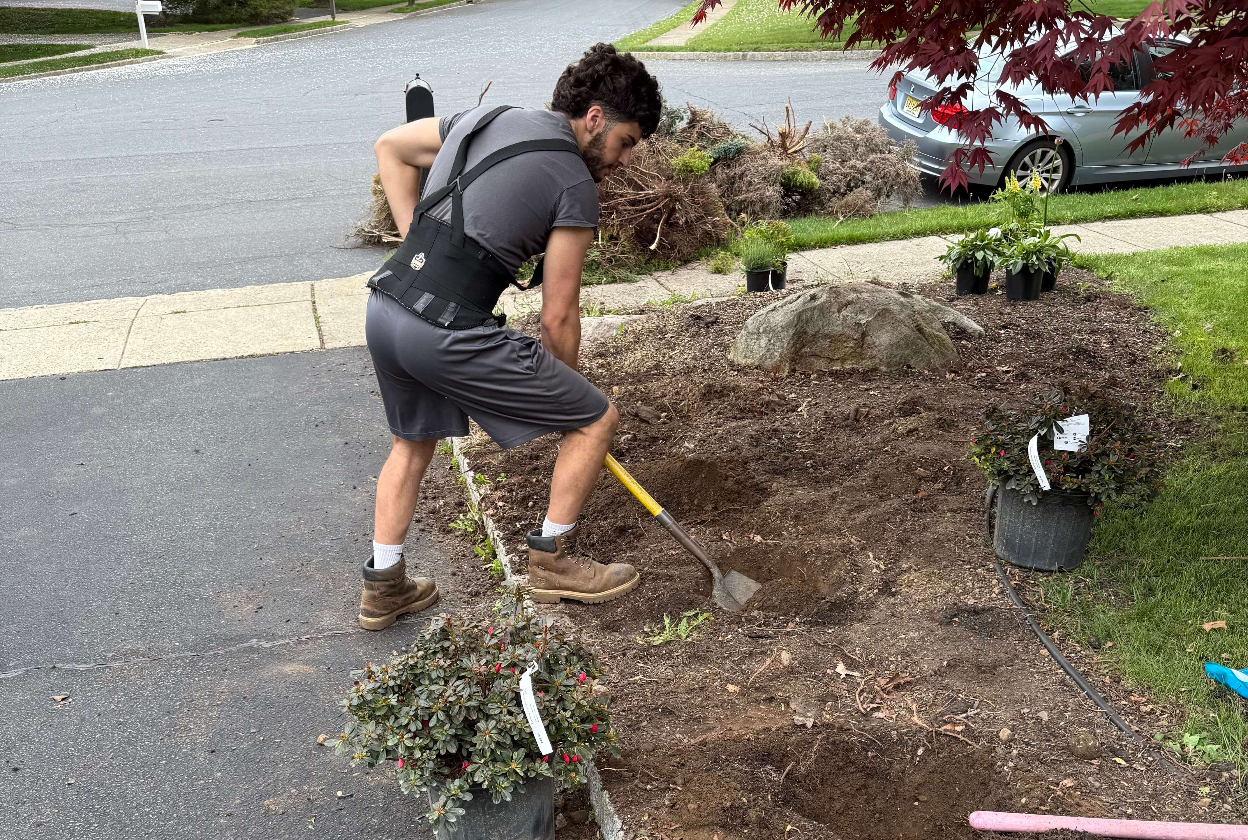New plantings installed by Home Care With A Vision