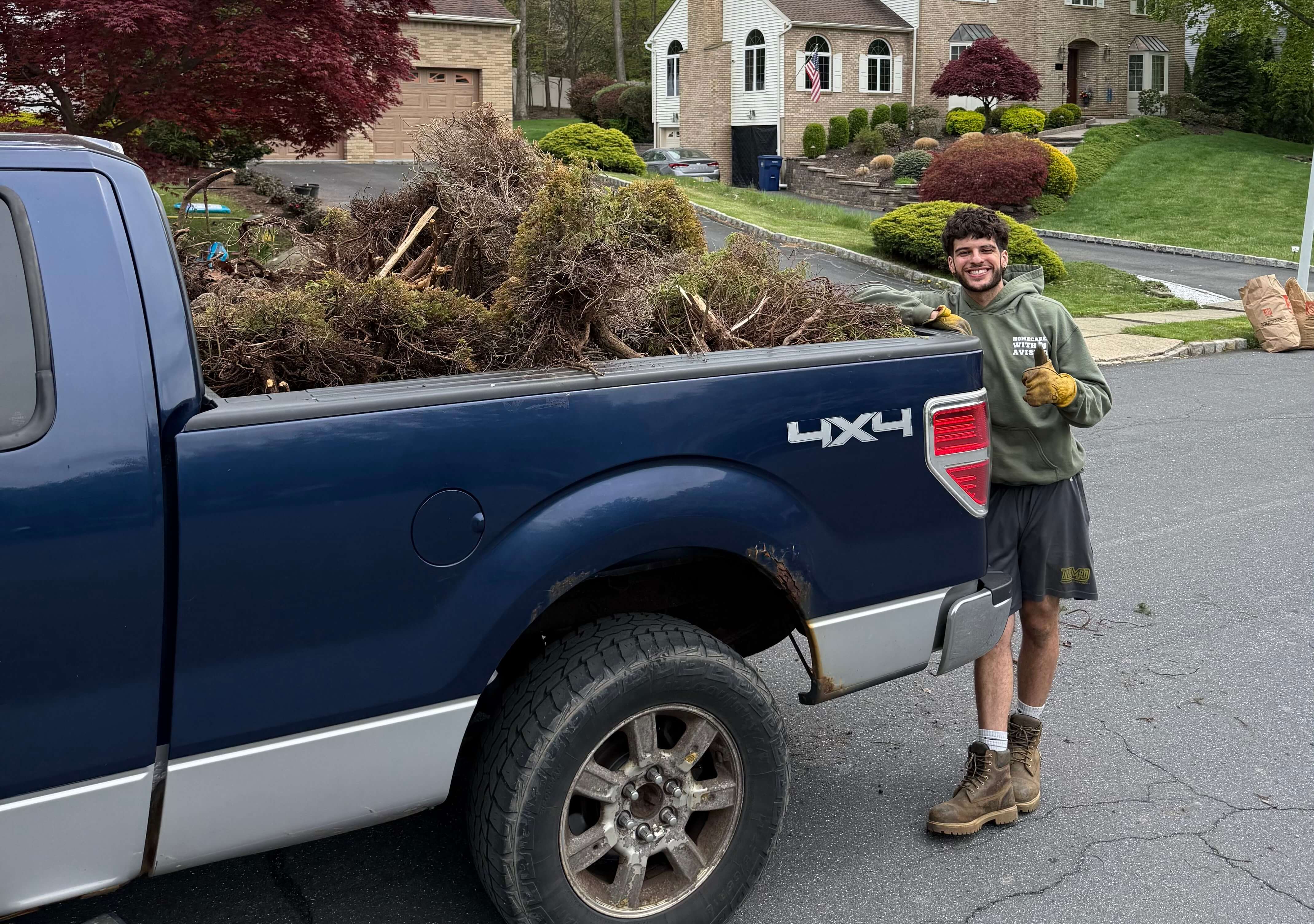 Bush & shrub removal